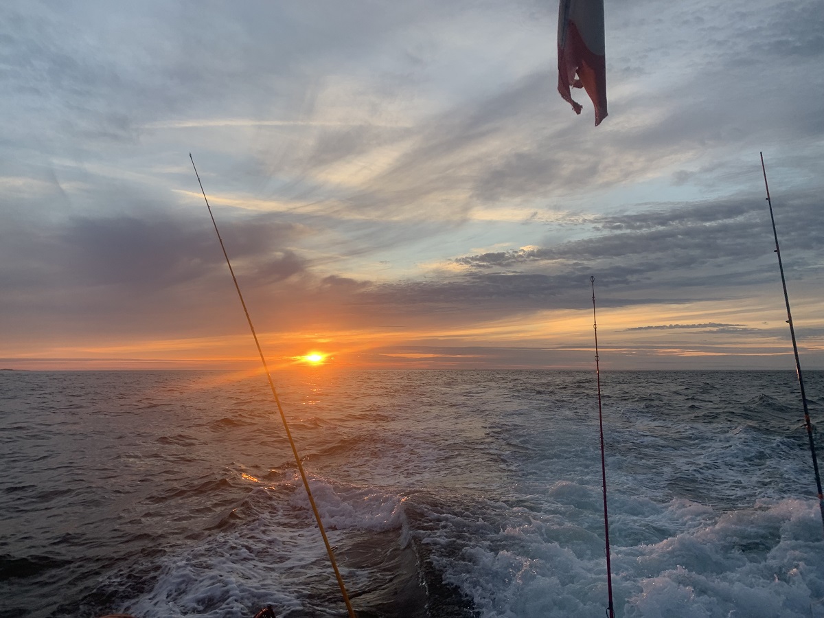 Barfleur en Mer - Bateau Promenade - photo 5