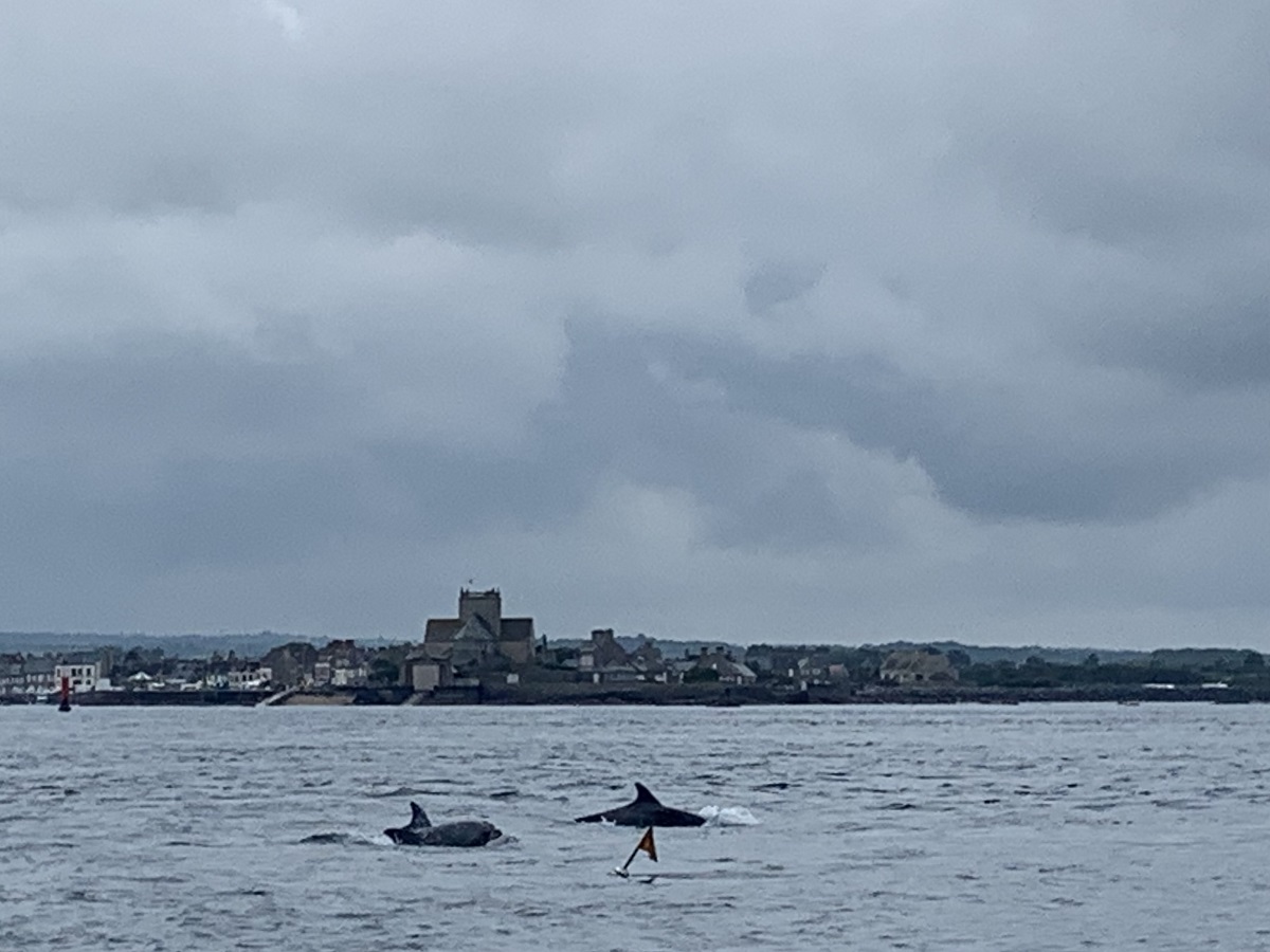 Barfleur en Mer - Bateau Promenade, Barfleur - photo 5
