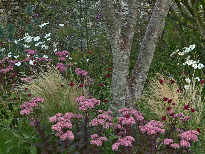 Jardin Terre d'Aïeuls, Barneville-Carteret - photo 8
