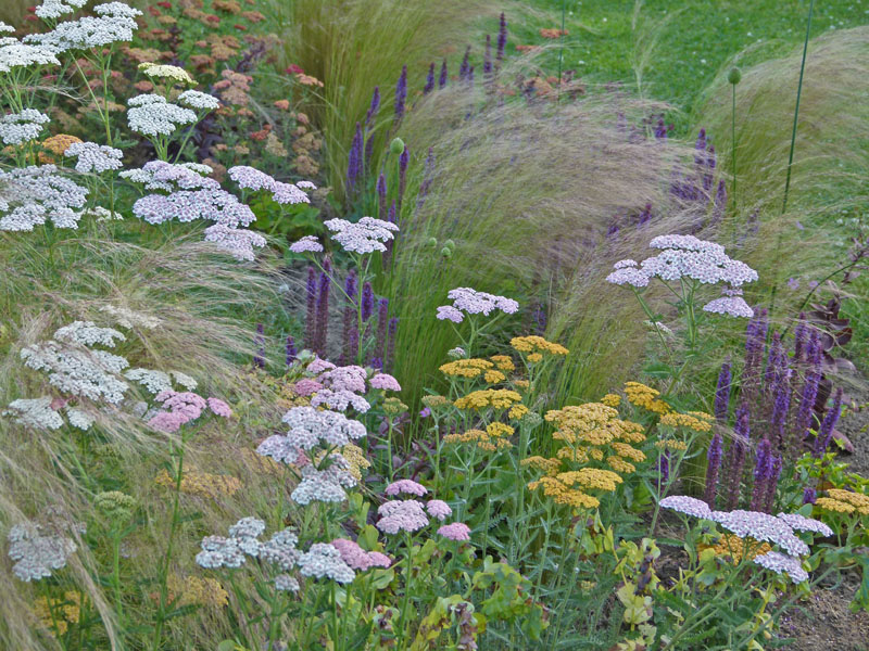 Jardin Terre d'Aïeuls, Barneville-Carteret