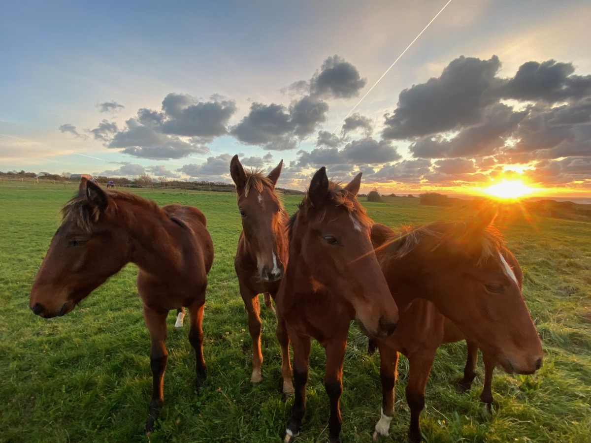 Camping Bel Sito, Baubigny - photo 5