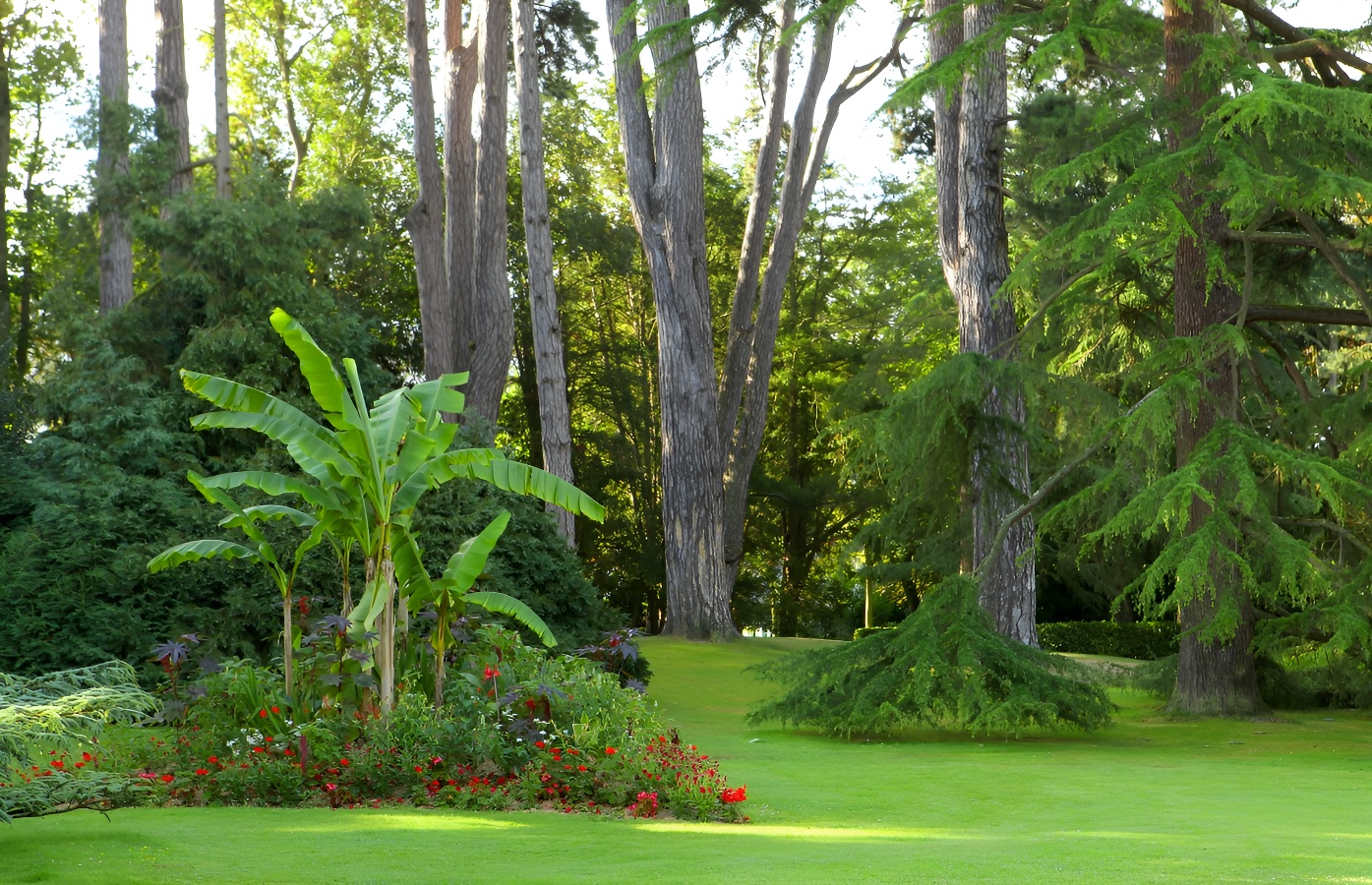 Jardin botanique de Bayeux, Bayeux - photo 2