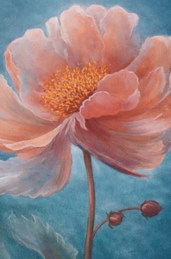 Exposition : Beauté de la nature