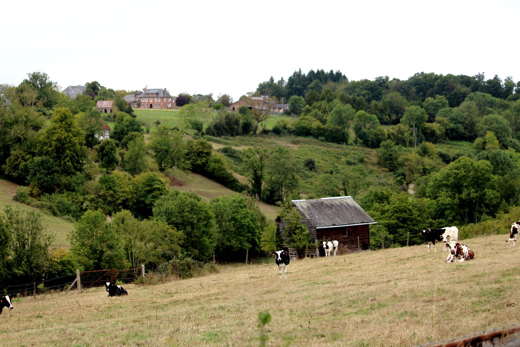 BELLOU : Autour du Manoir de Bellou - 15KM - photo 5