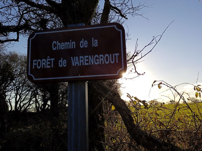 café-patrimoine : "le bois de Varengrou" par Véronique Gaignard