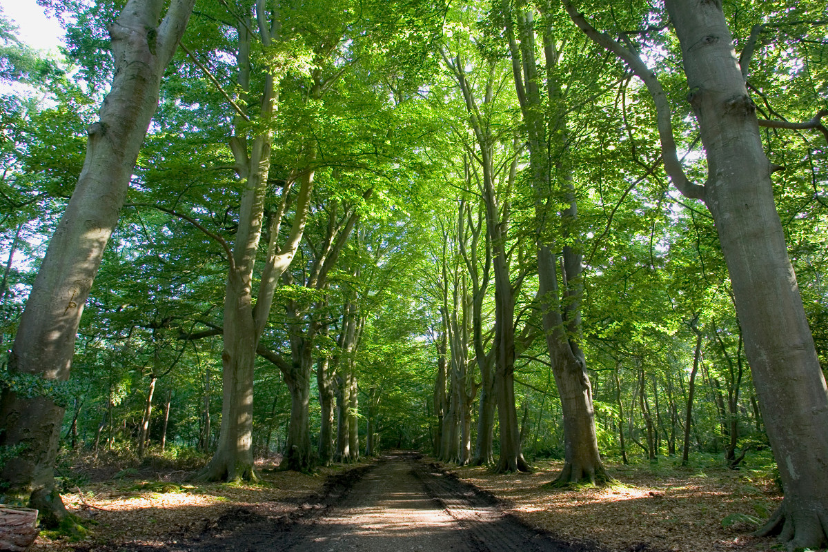 Honfleur Paysages des impressionnistes, Honfleur - photo 2