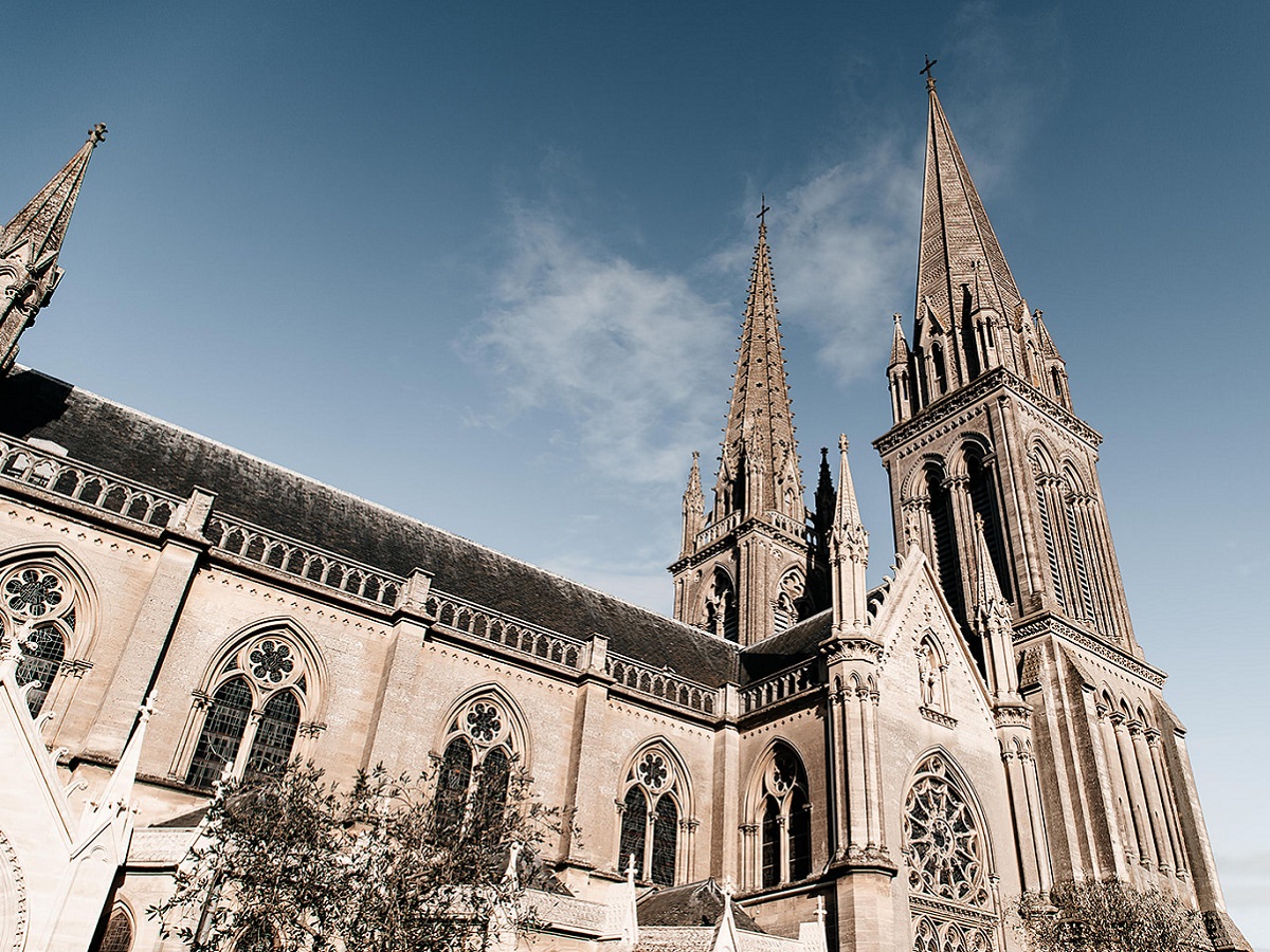 Bons Vivants - photo 2