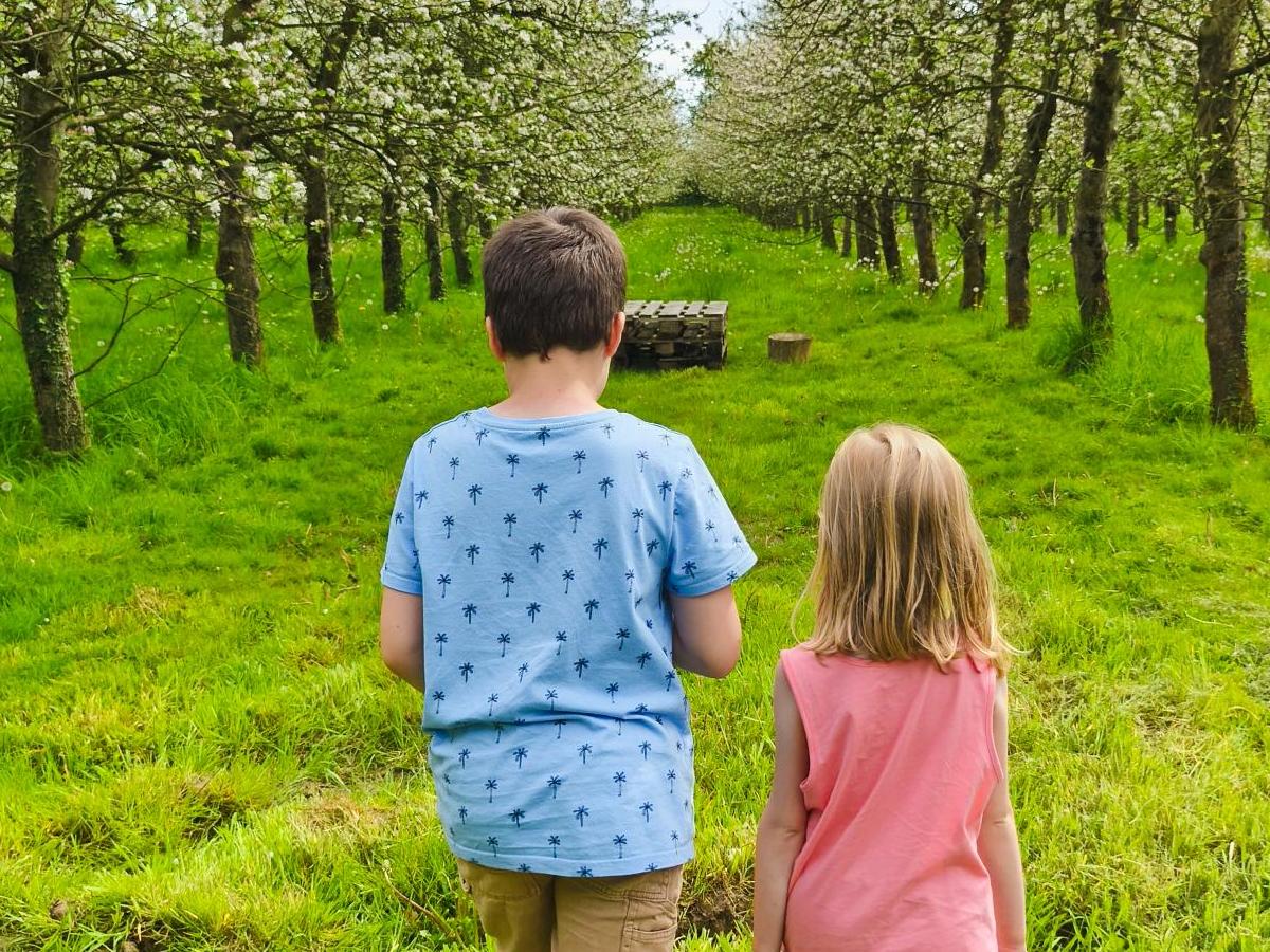 Cidrerie Le Père Mahieu, Bricquebosq