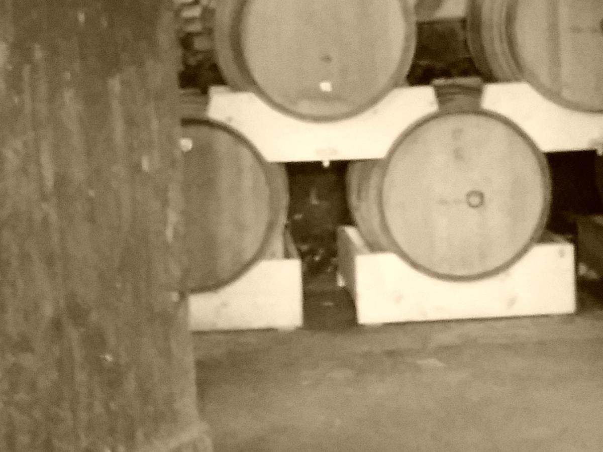 Cidrerie Le Père Mahieu, Bricquebosq - photo 7