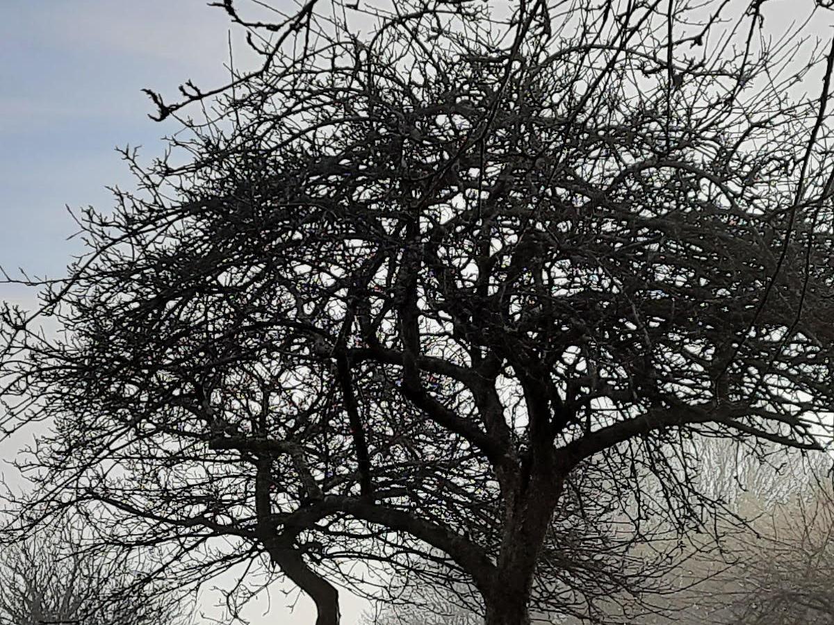 Cidrerie Le Père Mahieu, Bricquebosq - photo 6
