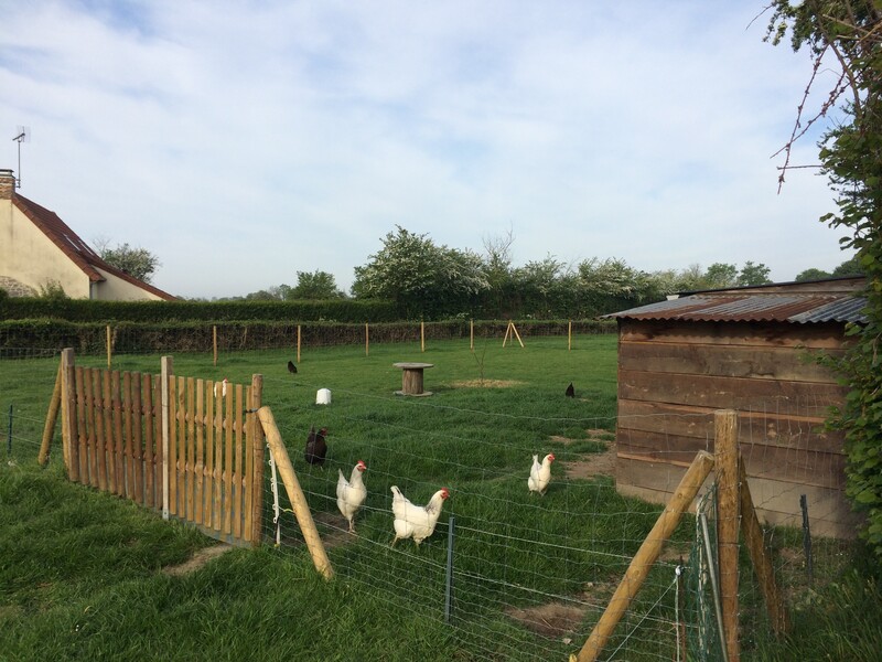Chambre d'hôtes - Les Hauts Vents, Bricqueville-sur-Mer - photo 6