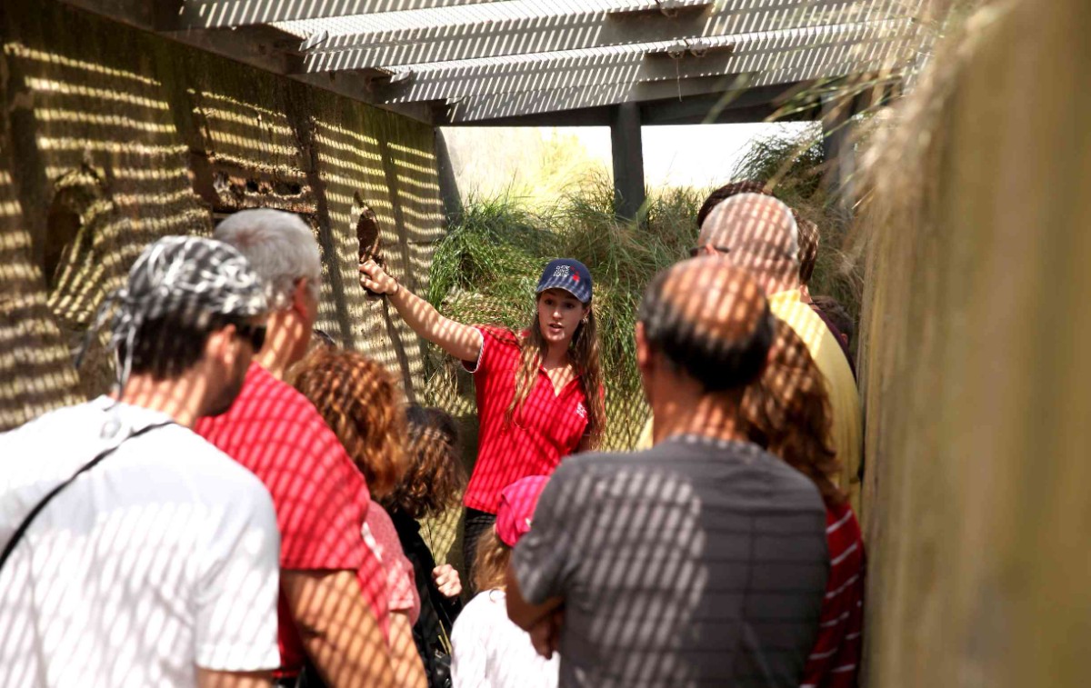 Visite guidée des bunkers - Parc Juno