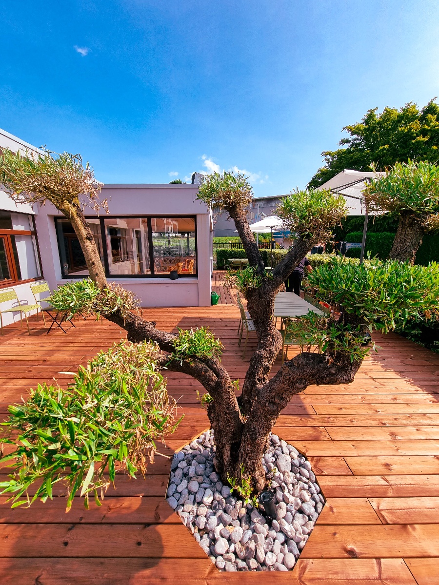 Hôtel Ibis Caen Porte d&#039;Angleterre