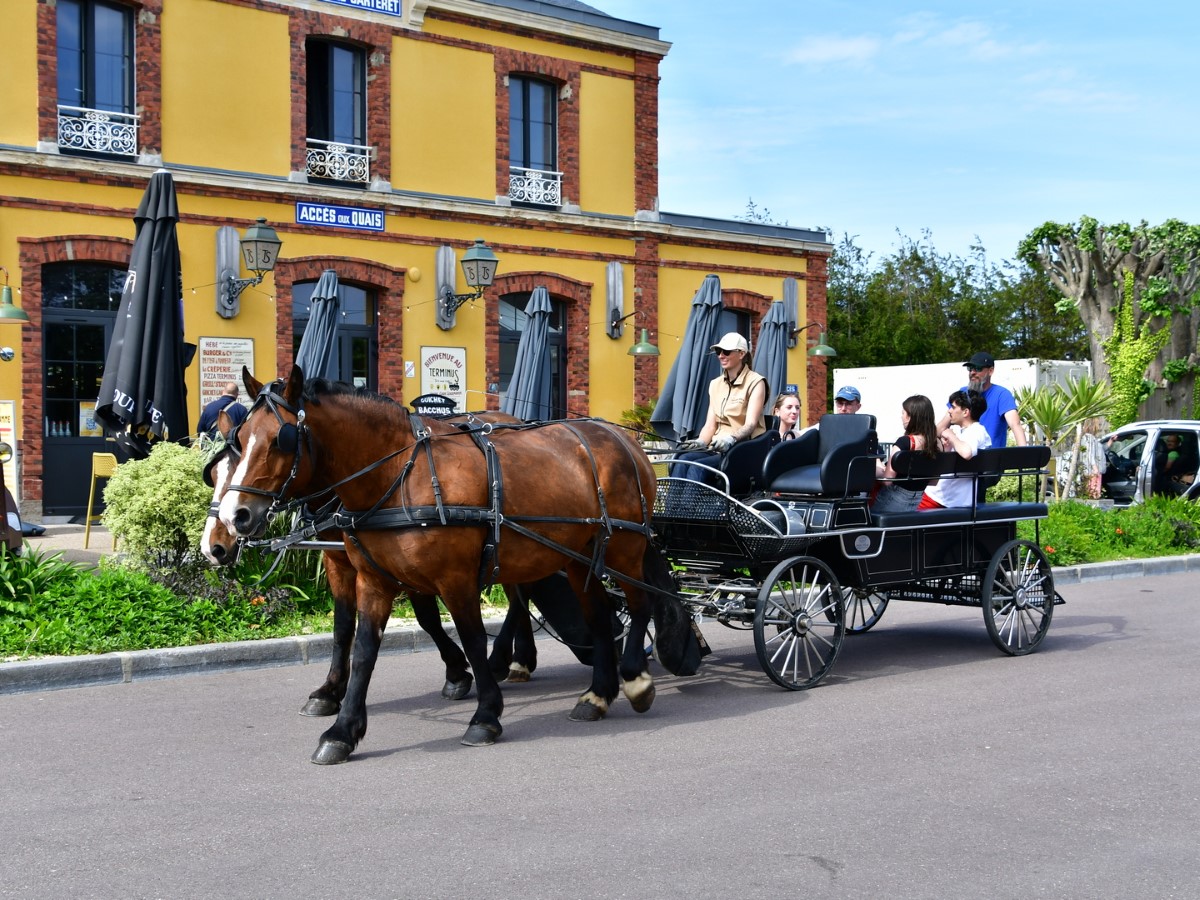 Balade en calèche > Carteret en calèche