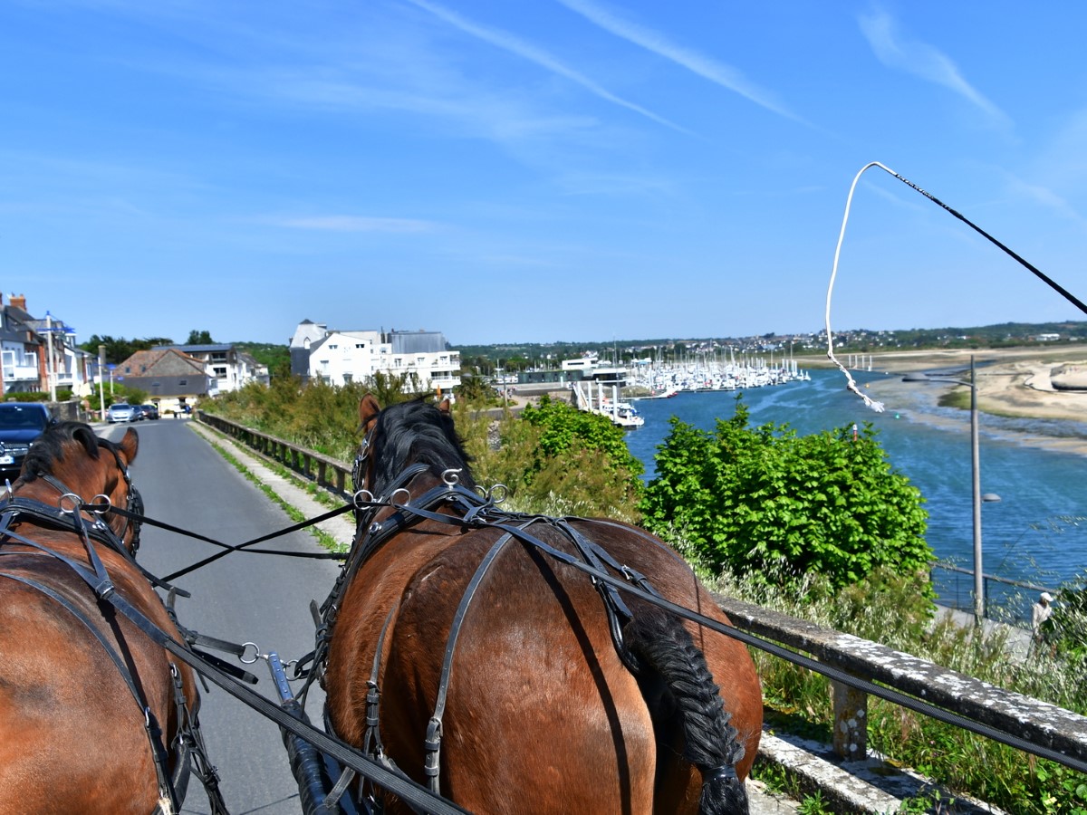 Balade en calèche > Carteret en calèche - photo 3