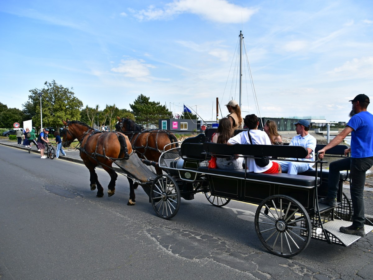 Balade en calèche > Carteret en calèche