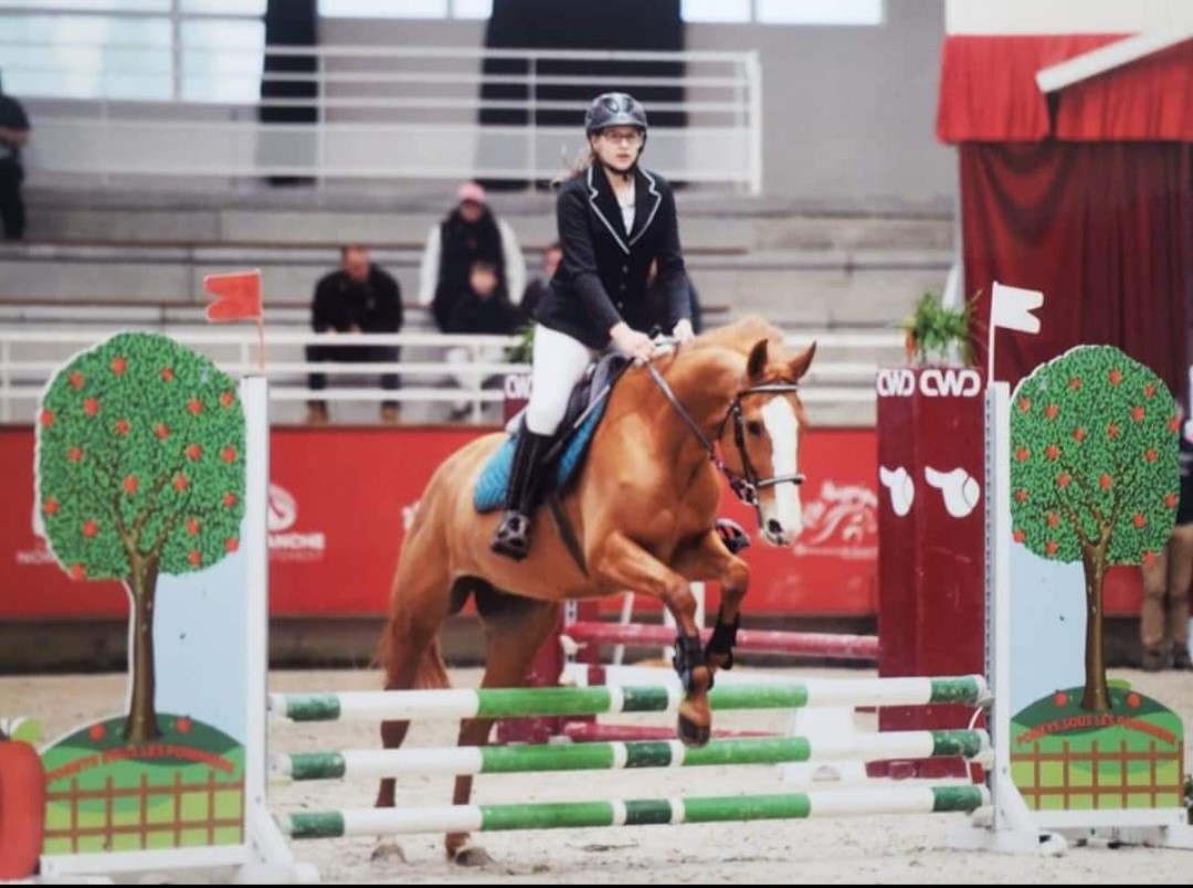 Centre Equestre du Val de Saire, Réville - photo 15