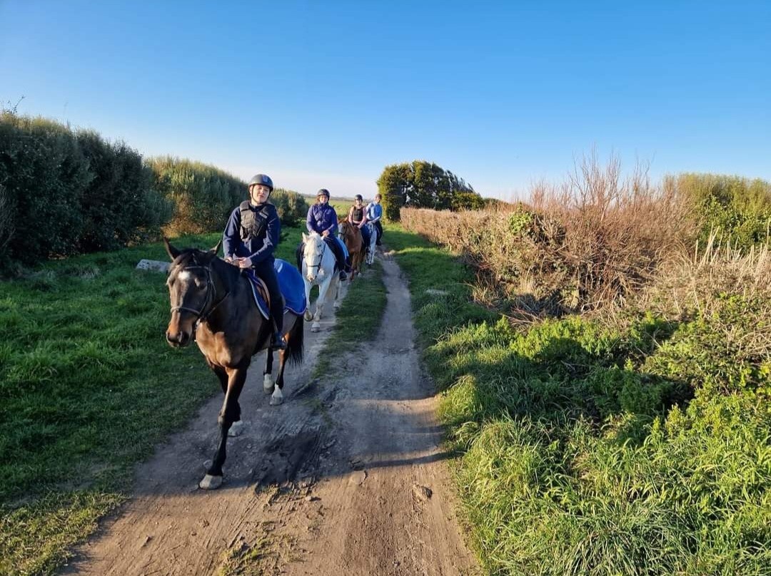 Centre Equestre du Val de Saire, Réville - photo 13