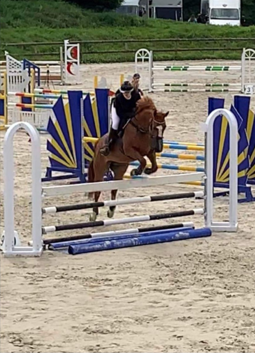 Centre Equestre du Val de Saire, Réville - photo 3