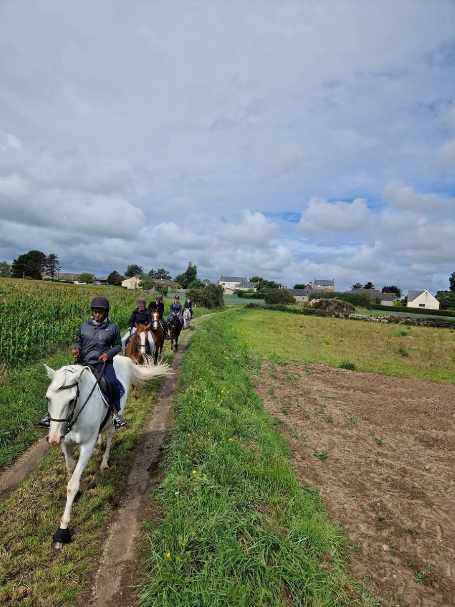 Centre Equestre du Val de Saire, Réville - photo 7