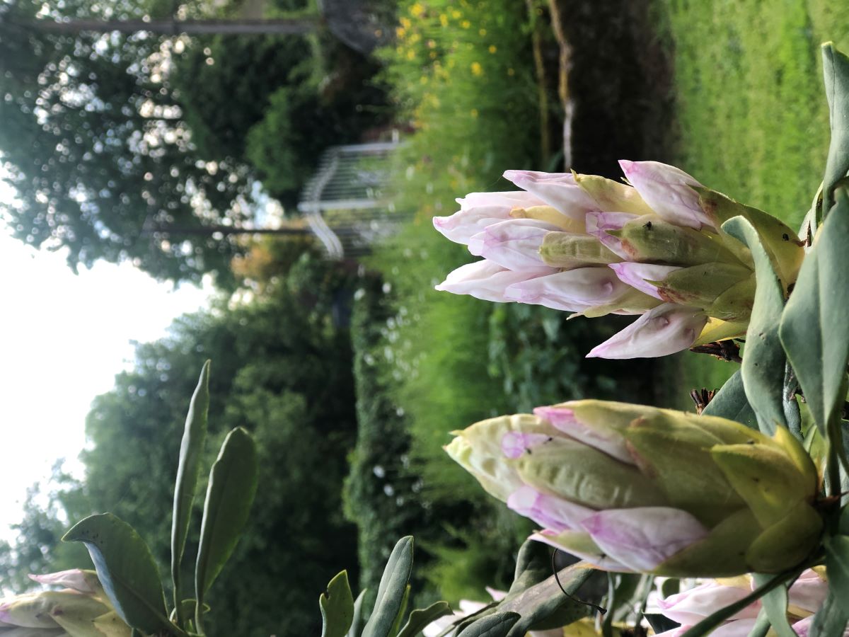 Chambre d'hôtes La Pommeraie, Champsecret - photo 19