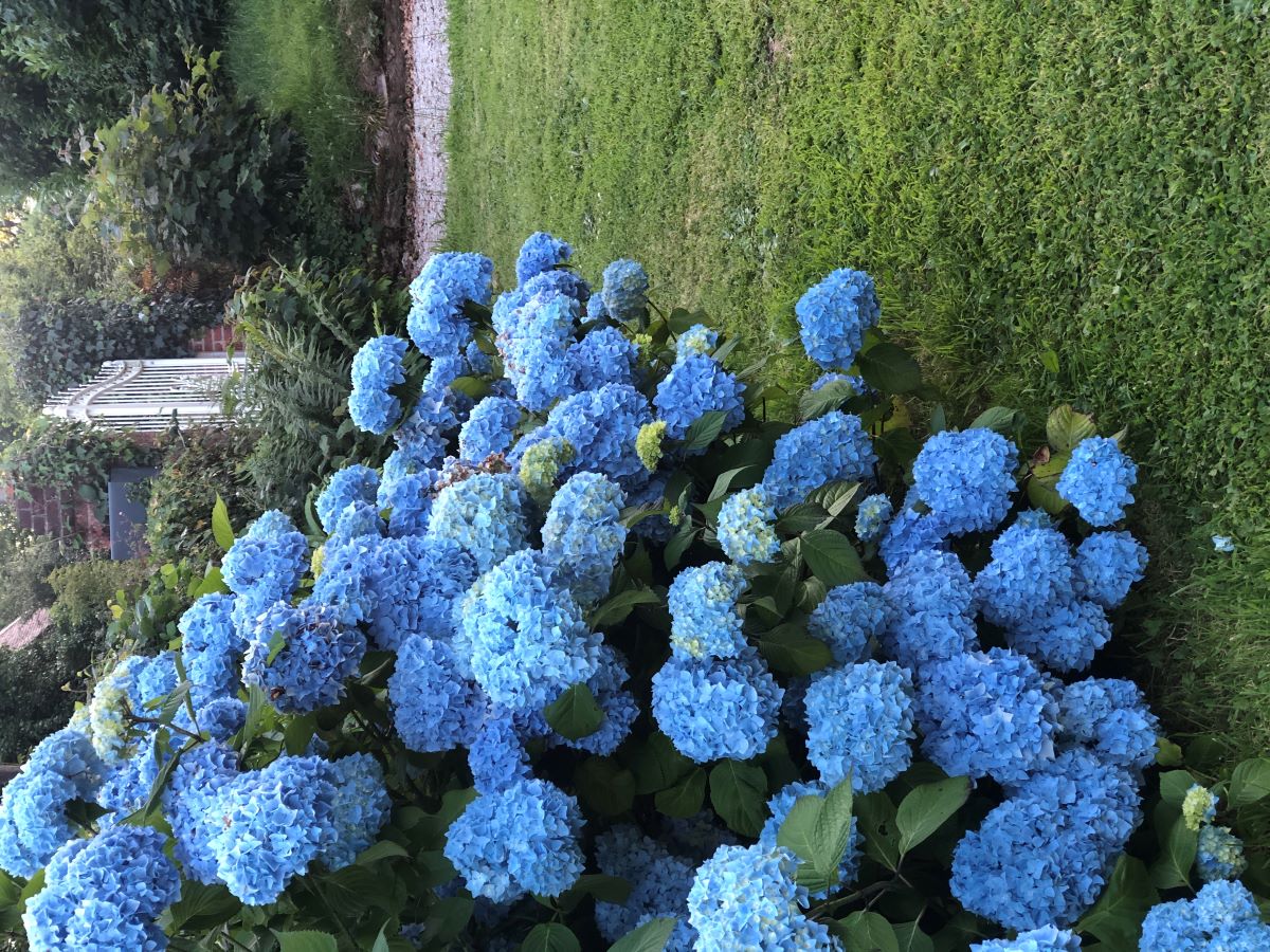 Chambre d'hôtes La Pommeraie, Champsecret - photo 11