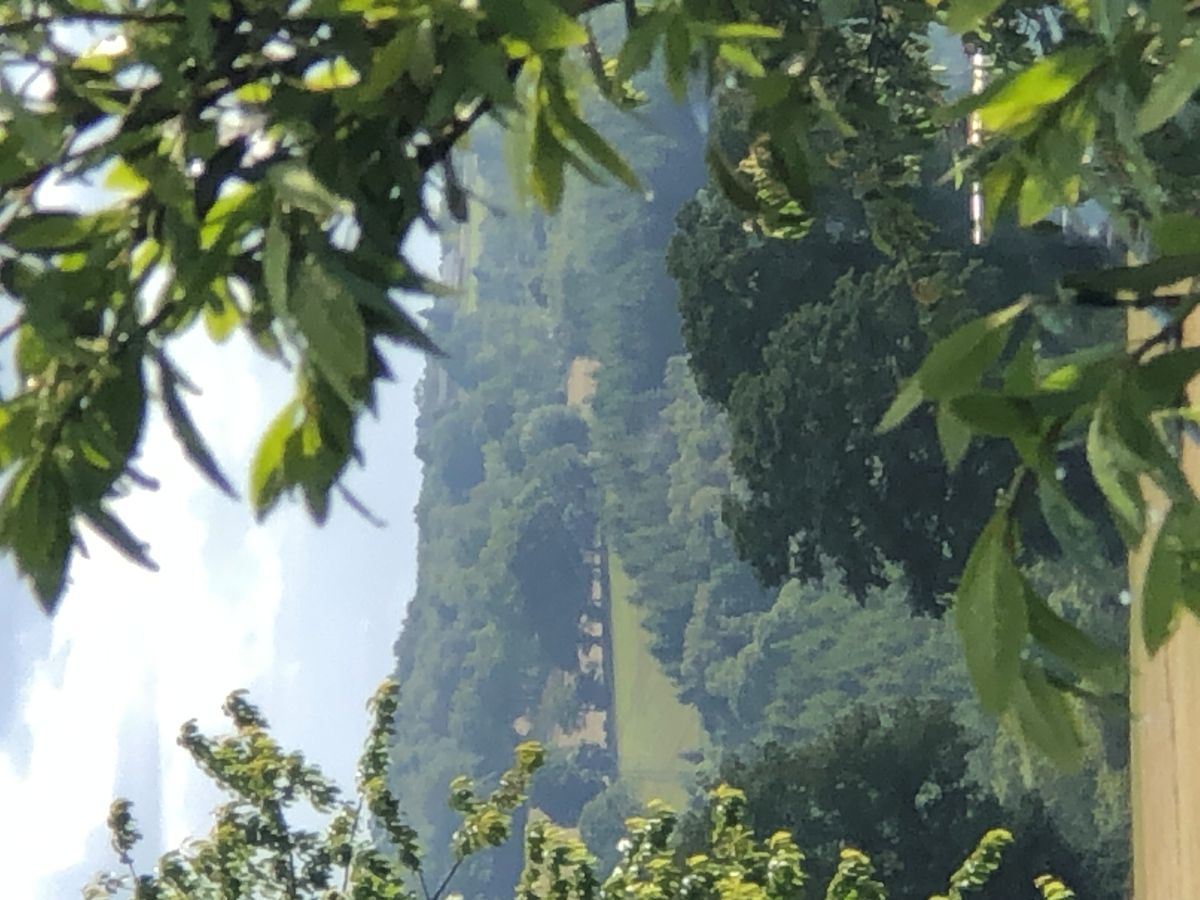 Chambre d'hôtes La Pommeraie, Champsecret - photo 5