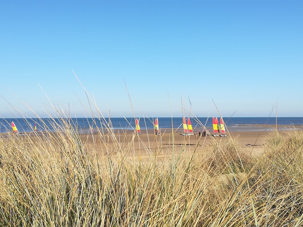 Entre mer et dunes : réveil sensoriel et écologique
