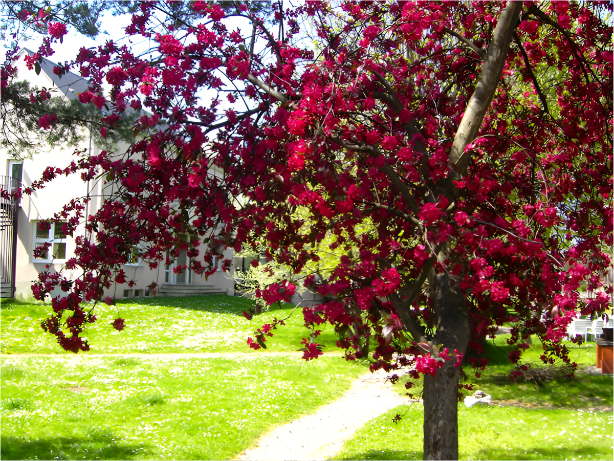 Centre CPCV Normandie