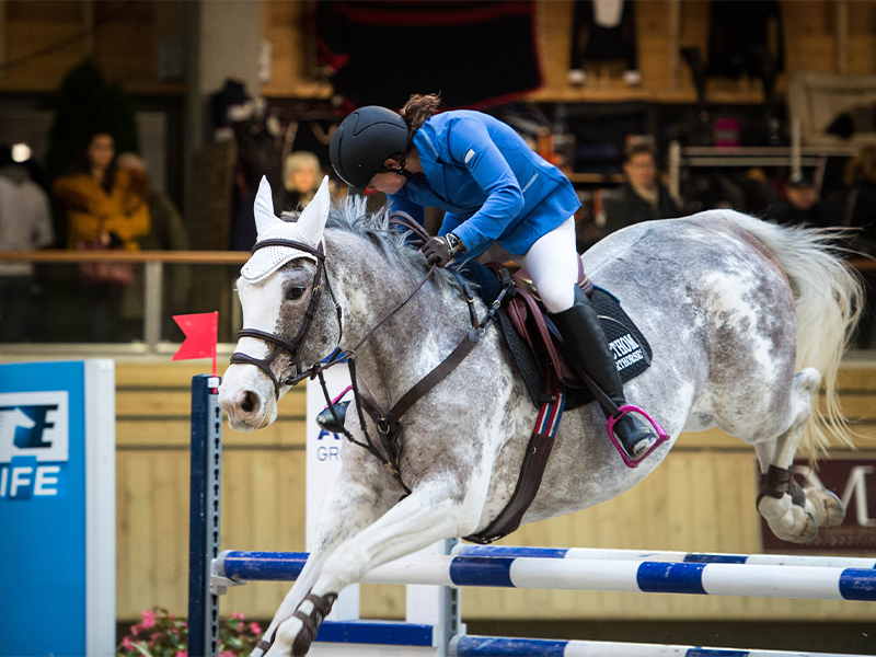 Concours de saut d’obstacles : Pros et Amateurs