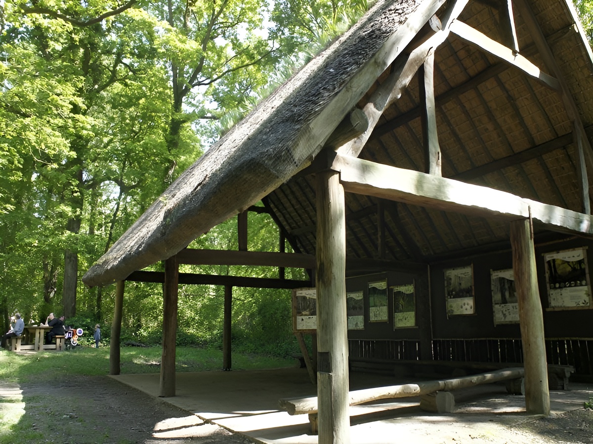 Forêt de Grimbosq, Grimbosq - photo 8