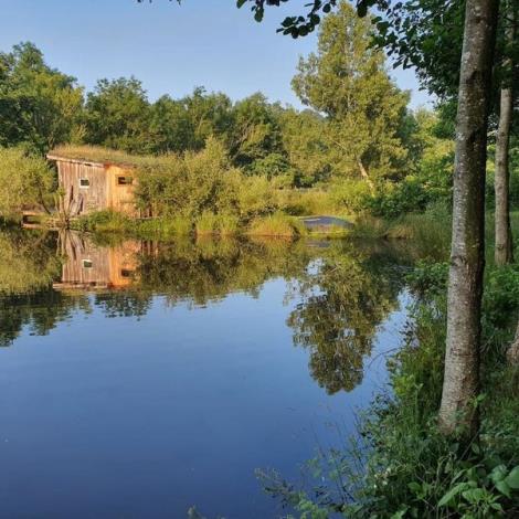 © MME COMPAIN Cabane-de-l Etang-Landisacq