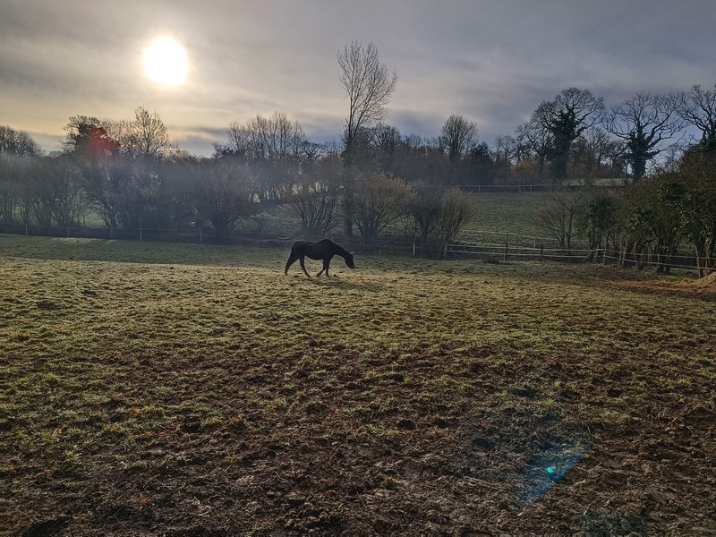 Camping > La Renaudière Féret, Saint-Sauveur-Villages - photo 18