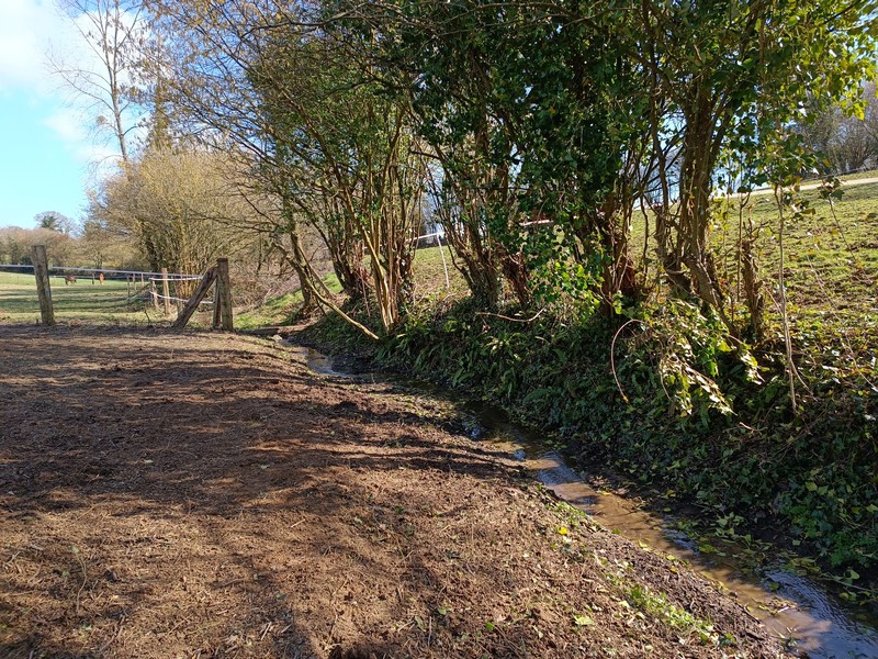 Camping > La Renaudière Féret, Saint-Sauveur-Villages - photo 12