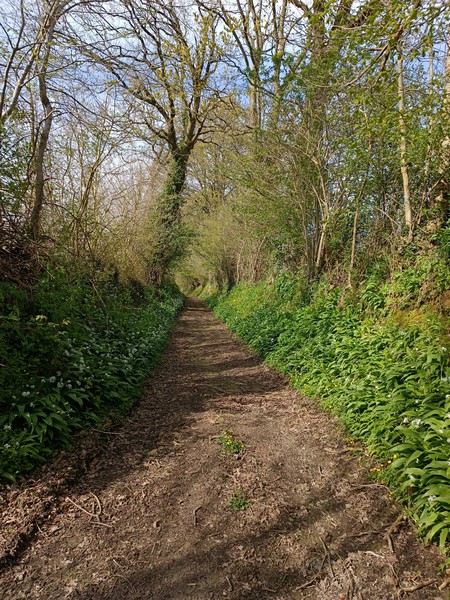 Camping > La Renaudière Féret, Saint-Sauveur-Villages - photo 20