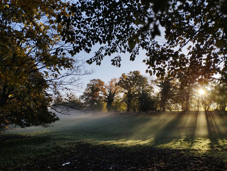 Camping > La Renaudière Féret, Saint-Sauveur-Villages - photo 24
