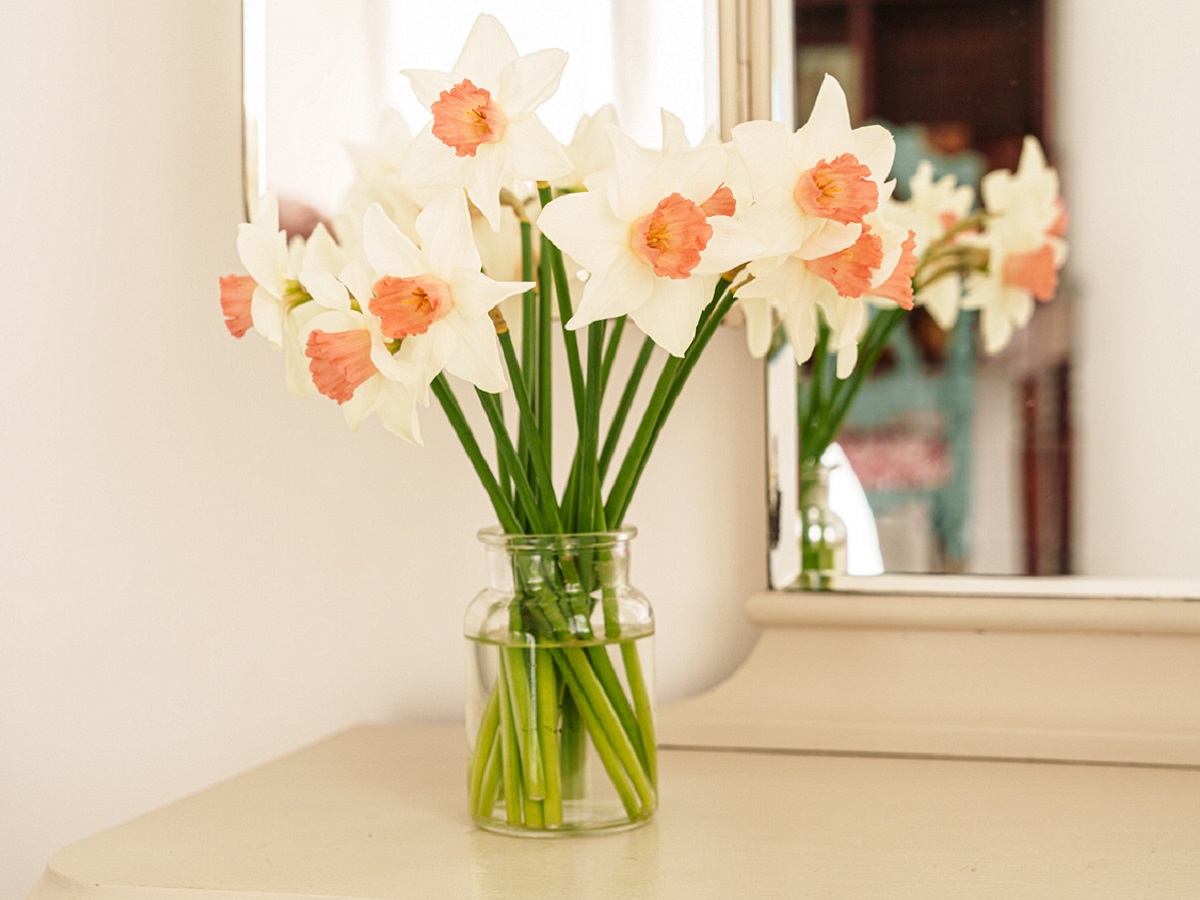 La Cantellerie-Les Albatros, Courseulles-sur-Mer - photo 24