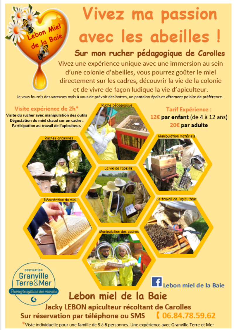 Expérience de Destination : Vivez ma passion avec les abeilles !