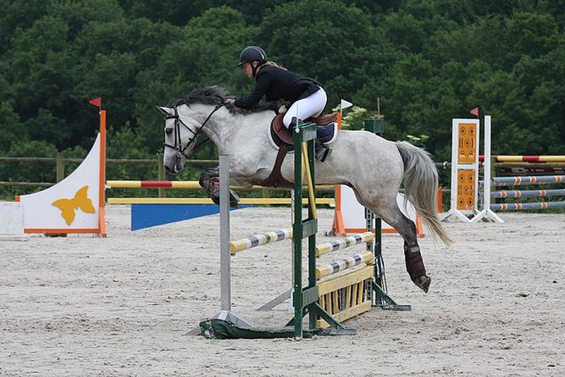 Centre Equestre d'Agon-Coutainville, Agon-Coutainville - photo 4