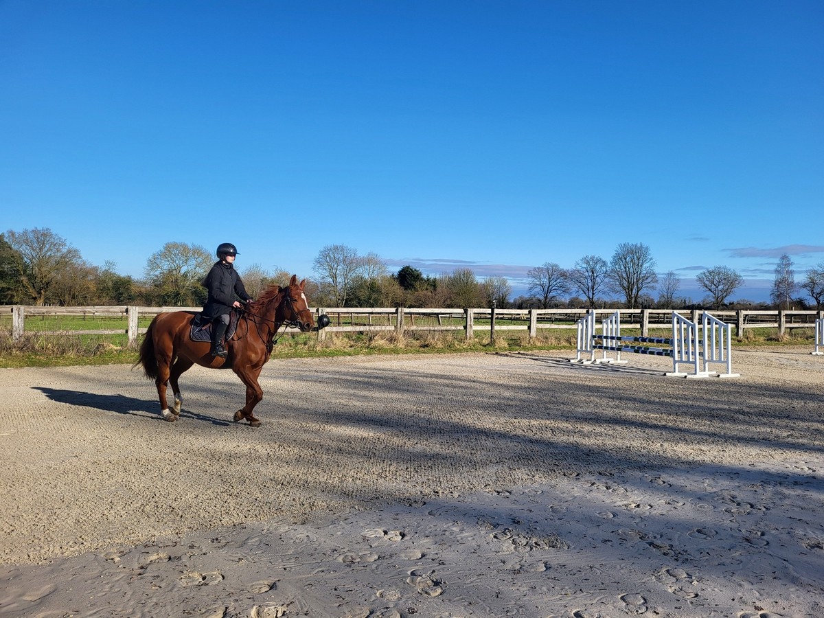 Ecurie Alexandra de la Morandière, Moyaux