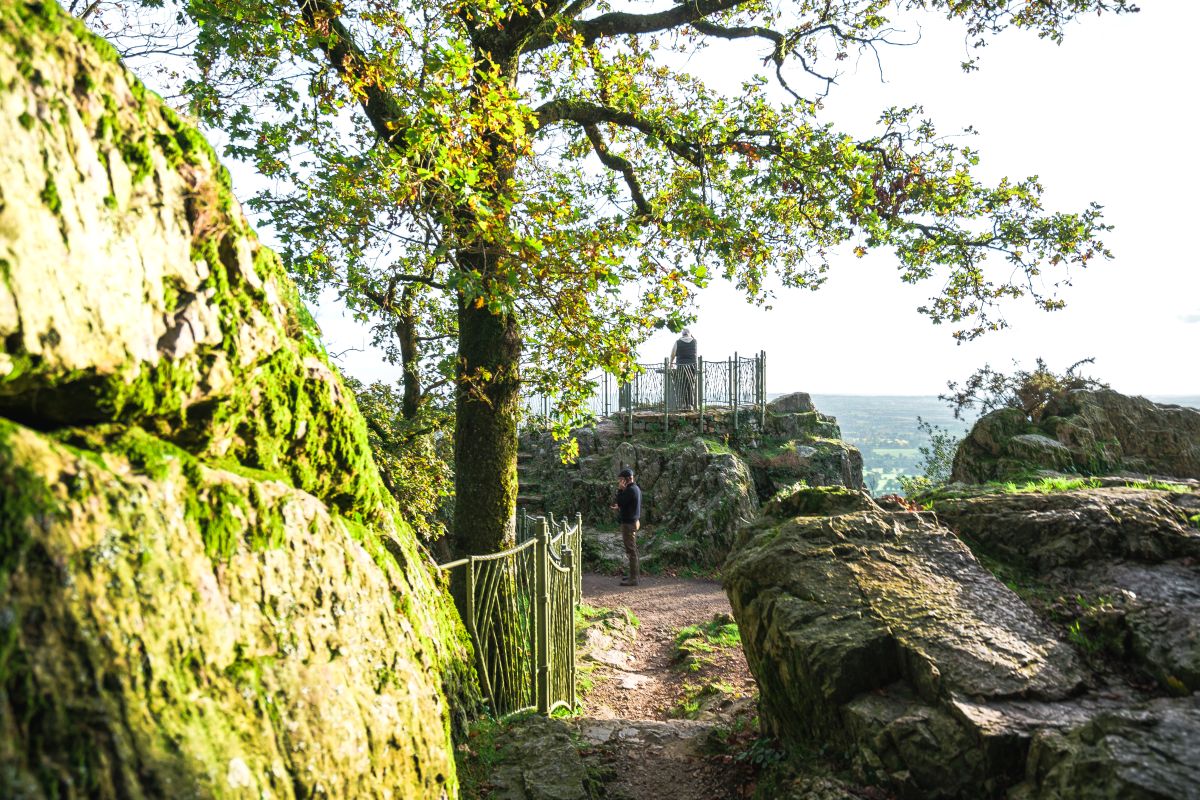 La Petite Chapelle Saint-Michel, Mortain-Bocage - photo 4