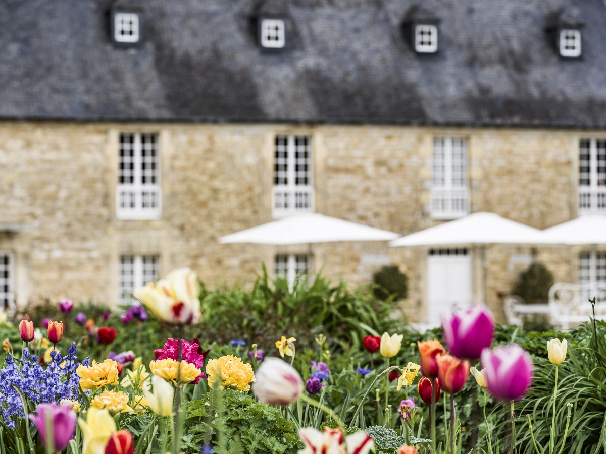 Château d'Audrieu, Audrieu - photo 13