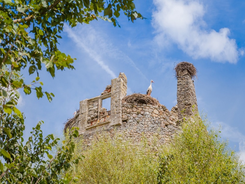 Château de la Rivière, Saint-Fromond