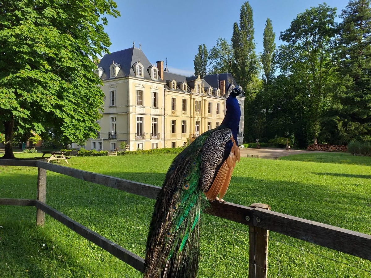 Image de la promenade