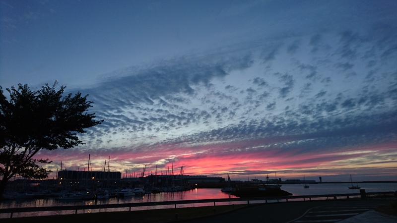 Le Quai des Mers — photo 3