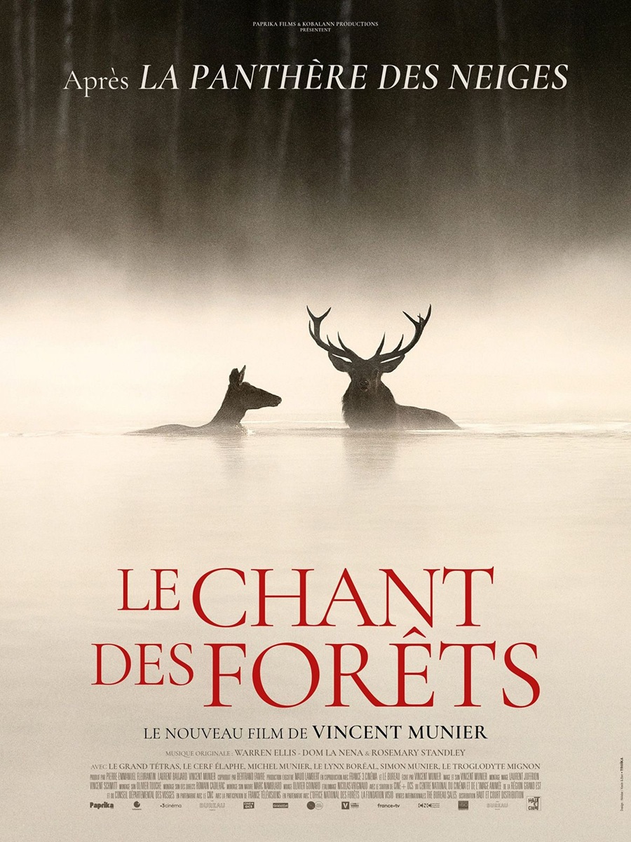Documentaire "Le Chant des forêts"