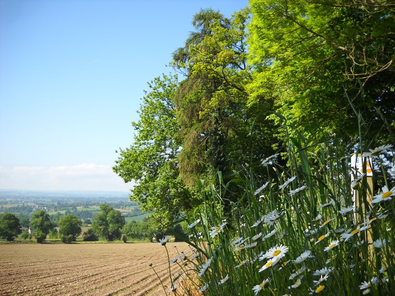 Image de la promenade