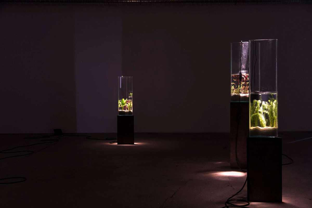 Exposition "La Vague irrésolue" - Clément Davout et Léo Fourdrinier (en partenariat avec le festival Interstice) — visuel événement
