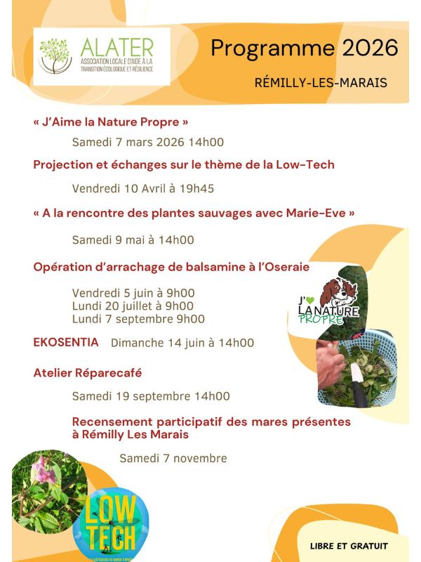 A la rencontre des plantes sauvages