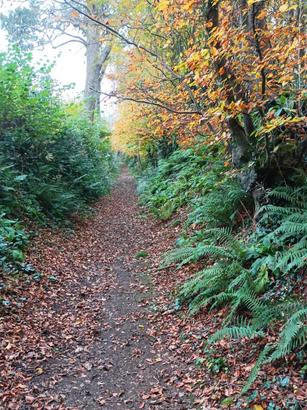 Le bocage en baskets